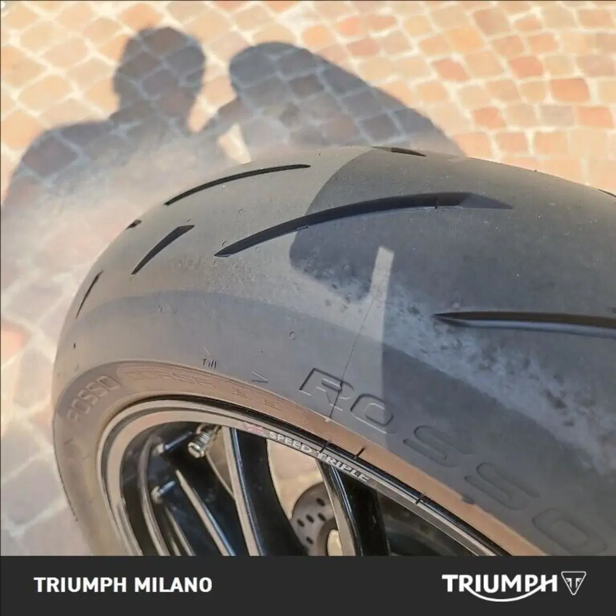 Triumph Speed Triple 1050 (2005 - 11) (4)
