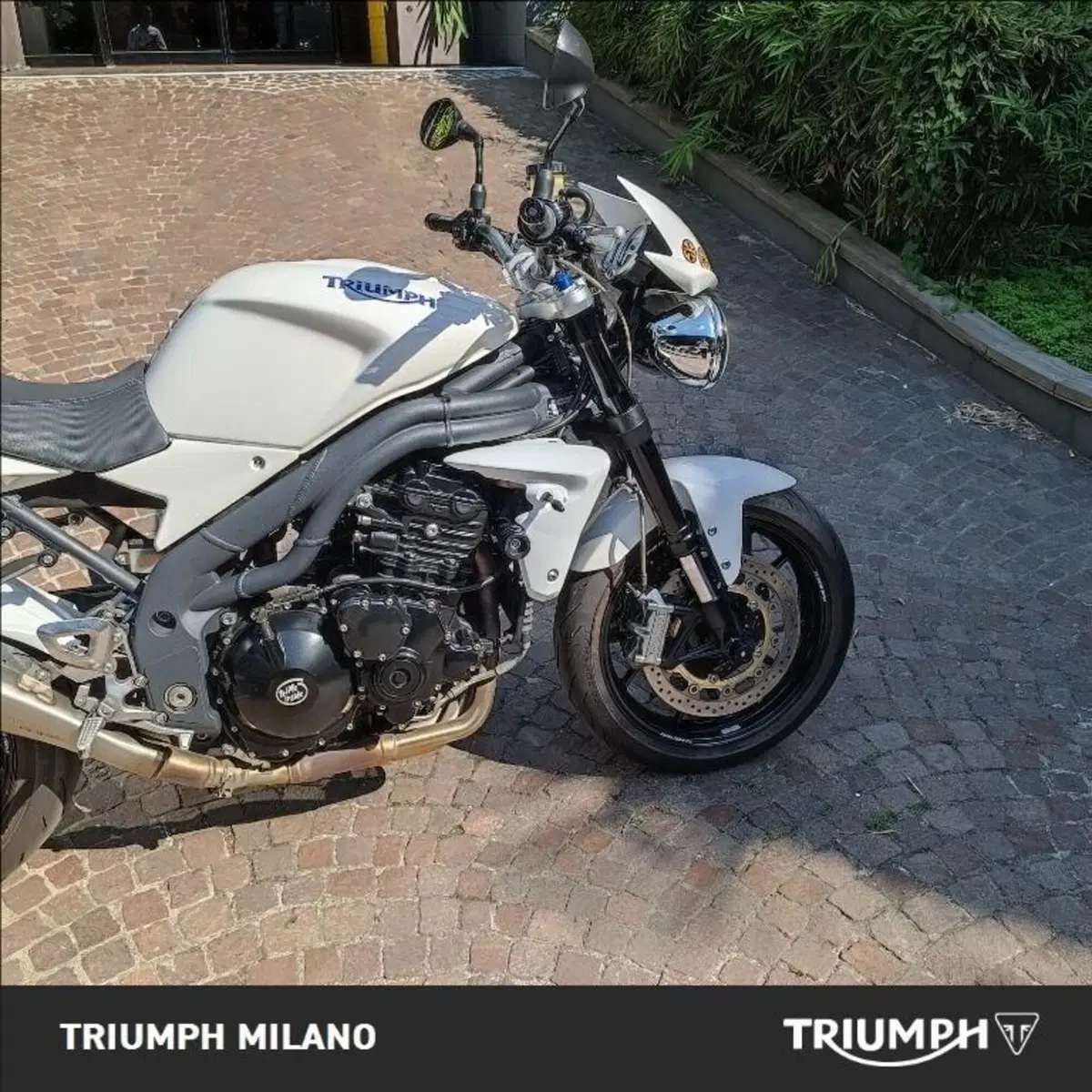 Triumph Speed Triple 1050 (2005 - 11) (5)