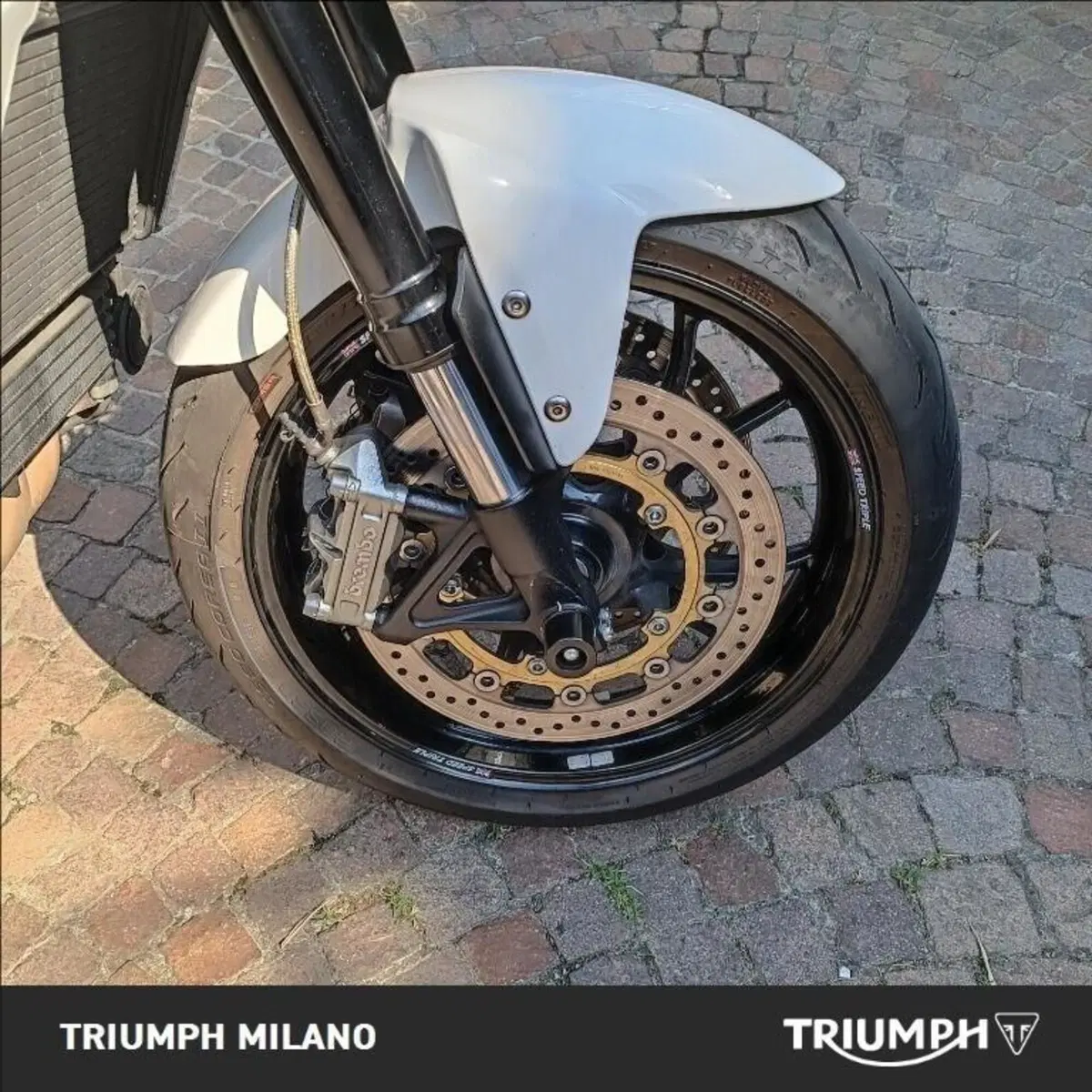 Triumph Speed Triple 1050 (2005 - 11) (6)