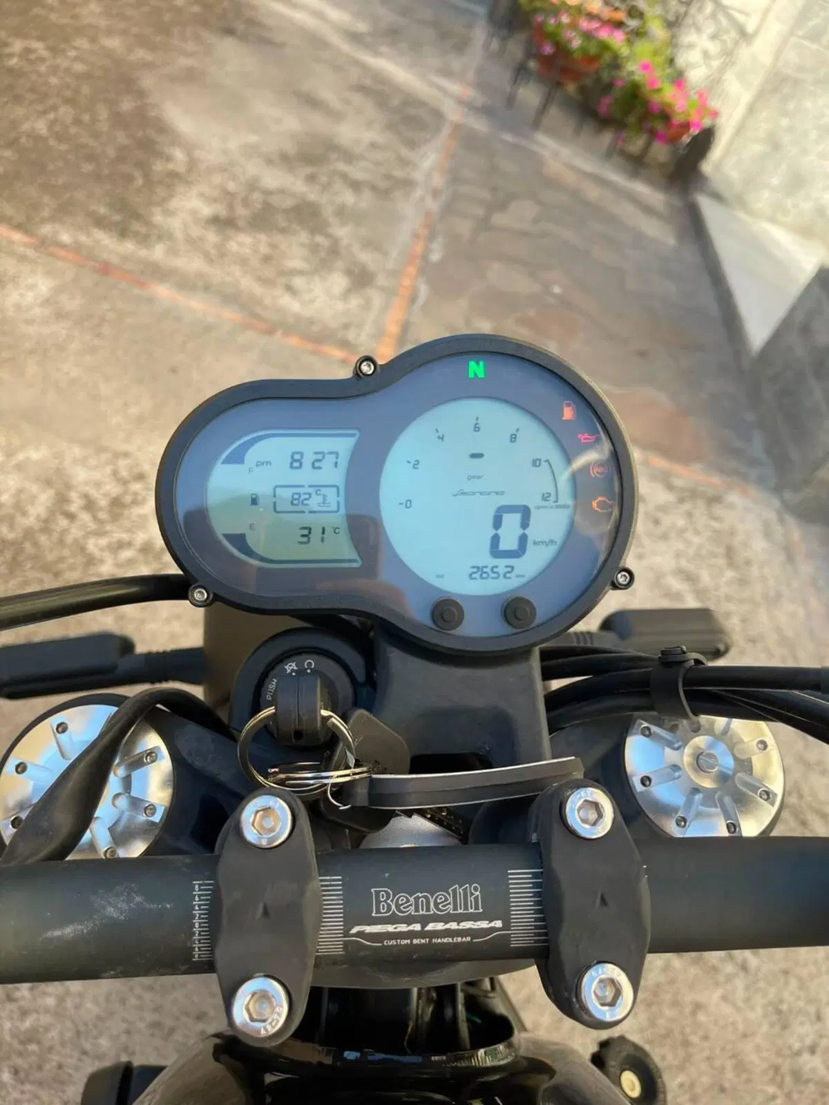 Benelli Leoncino 500 (2021 - 25) (7)