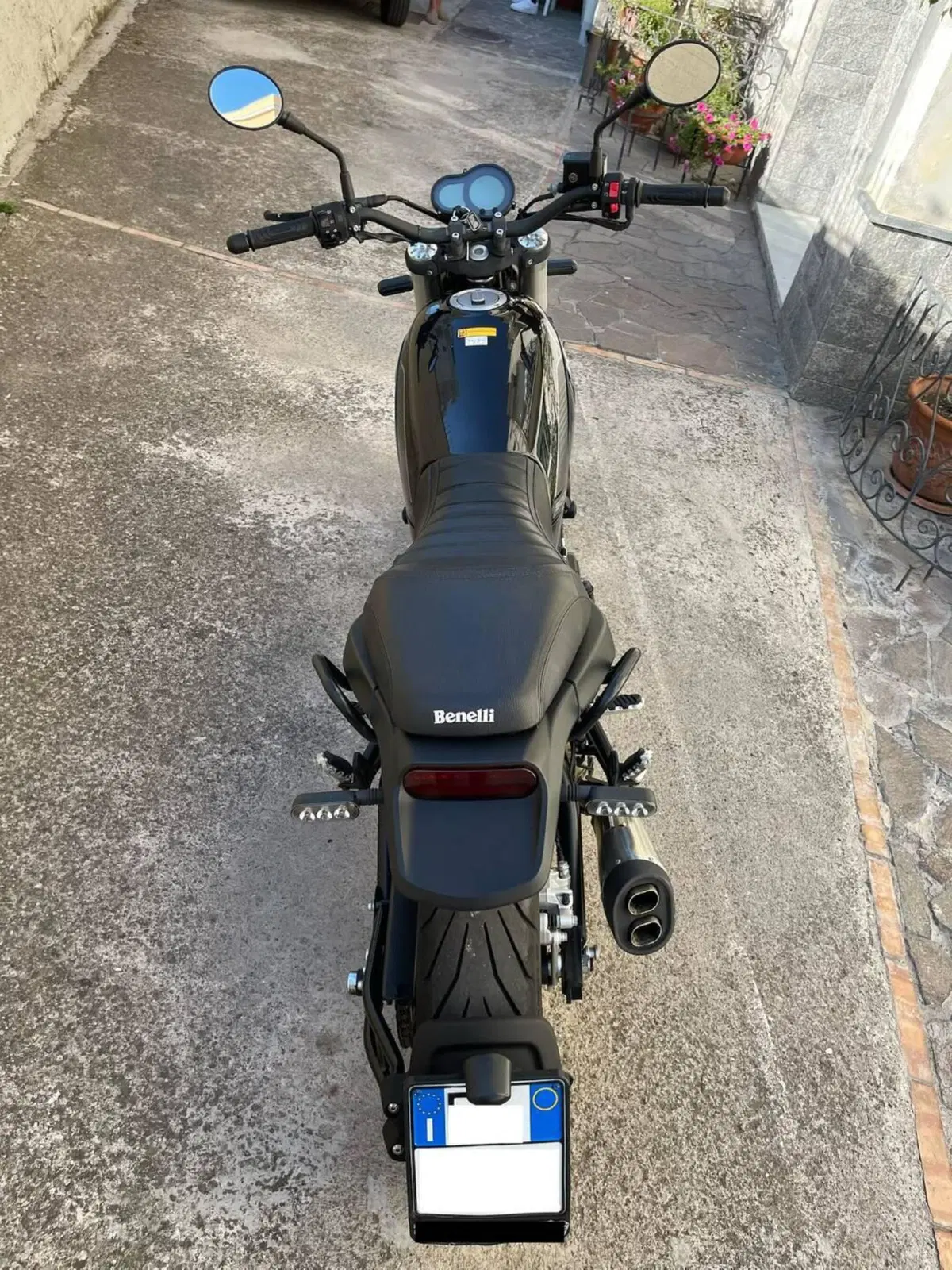 Benelli Leoncino 500 (2021 - 25) (6)