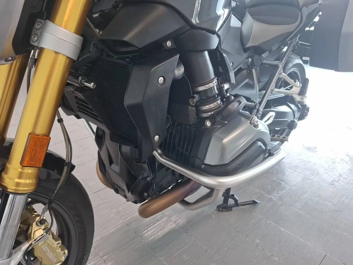 Bmw R 1200 R Black Edition (2017 - 18) (10)