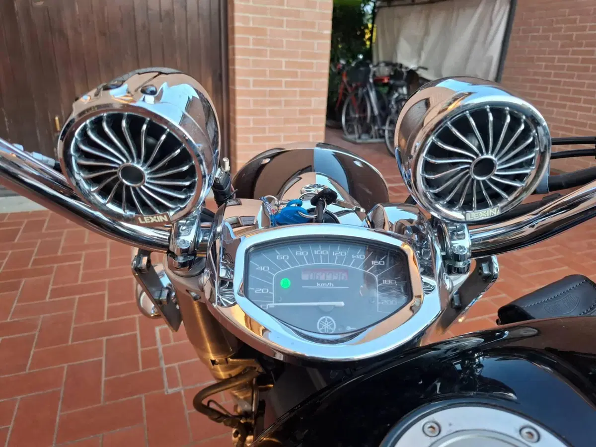 Yamaha XVS 1300 Midnight Star (2006 - 16) (5)
