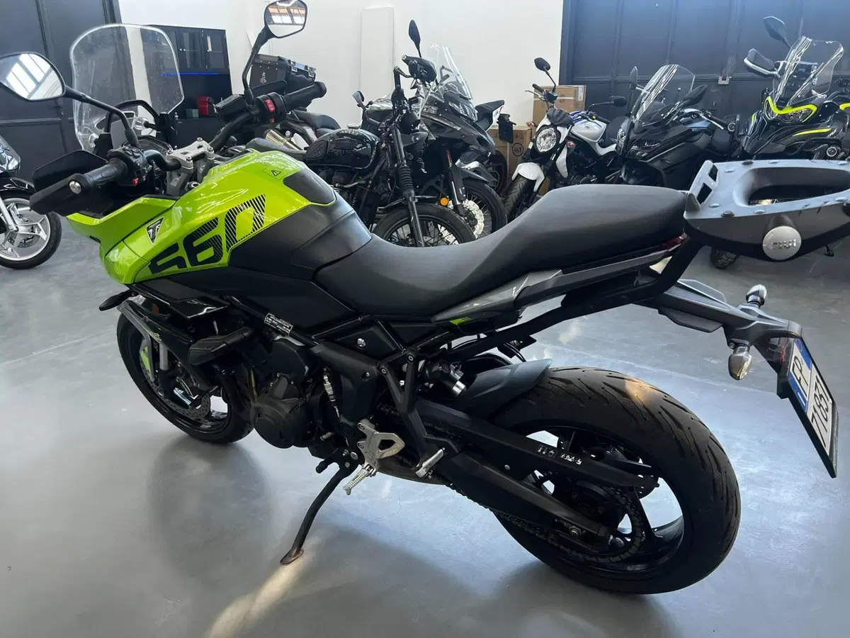 Triumph Tiger Sport 660 (2025) (4)