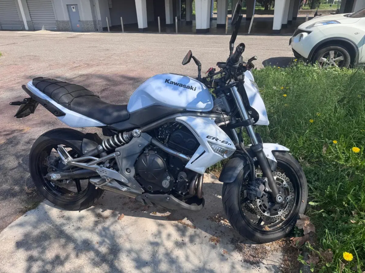 Kawasaki ER-6N (2009 - 11) (3)