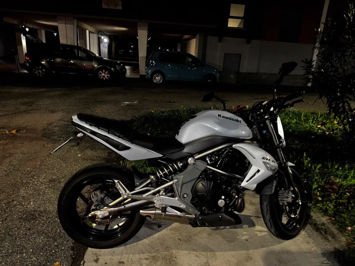 Kawasaki ER-6N (2009 - 11) (4)