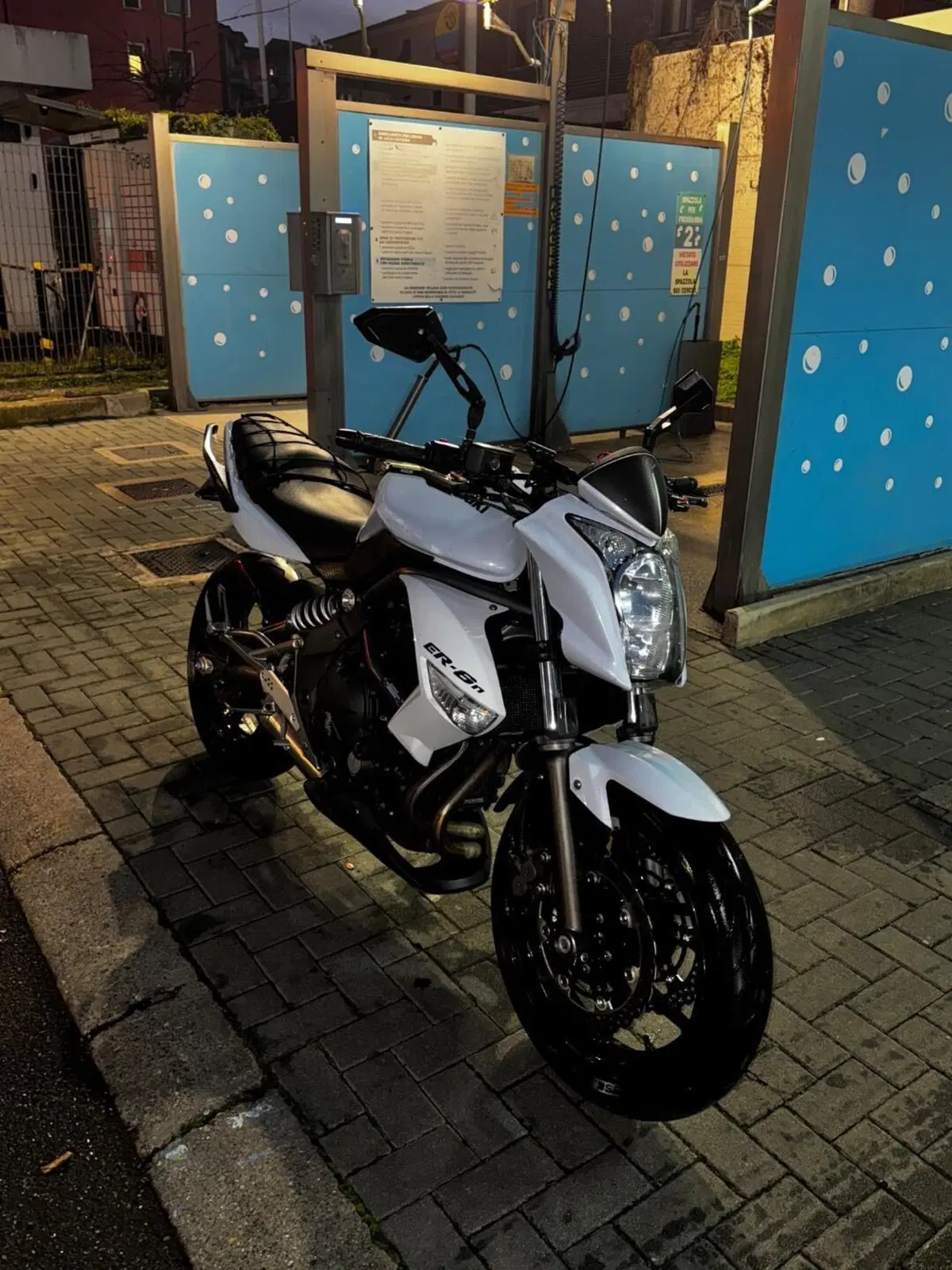 Kawasaki ER-6N (2009 - 11) (6)
