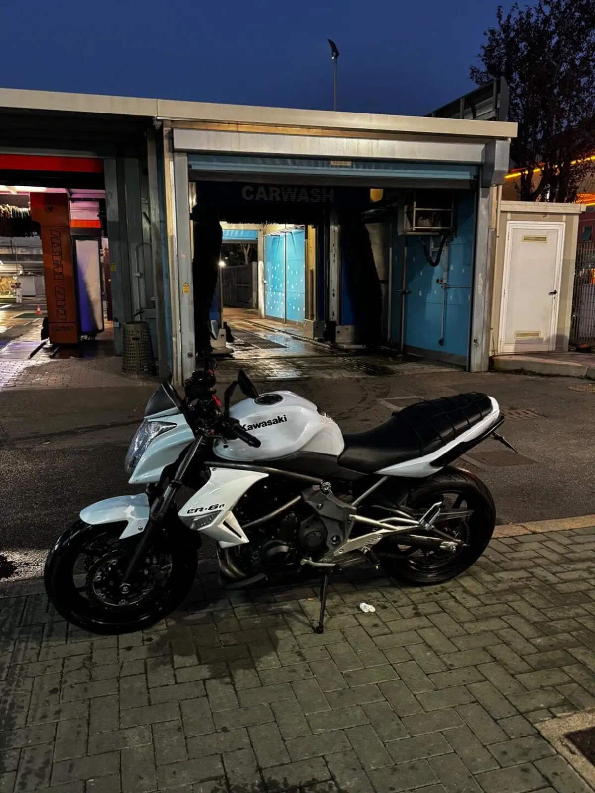 Kawasaki ER-6N (2009 - 11) (10)
