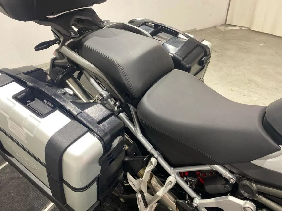 Triumph Tiger 1200 GT Pro (2024 - 26) (11)