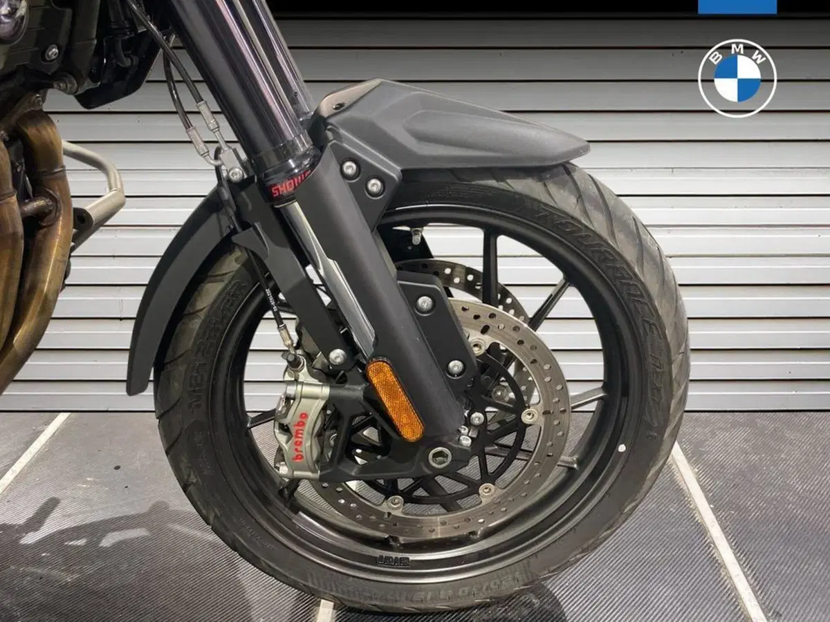 Triumph Tiger 1200 GT Pro (2024 - 26) (14)