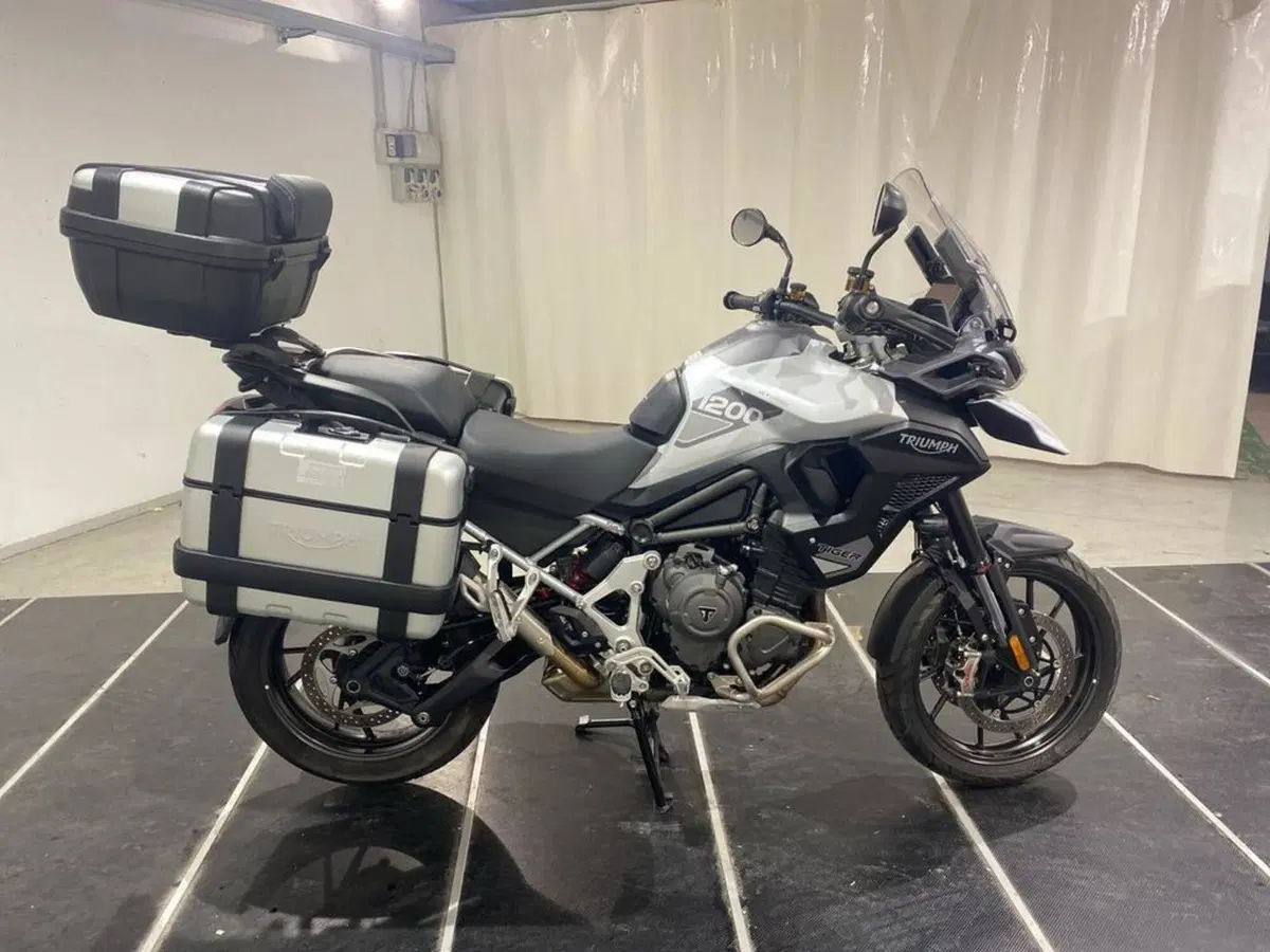 Triumph Tiger 1200 GT Pro (2024 - 26) (5)