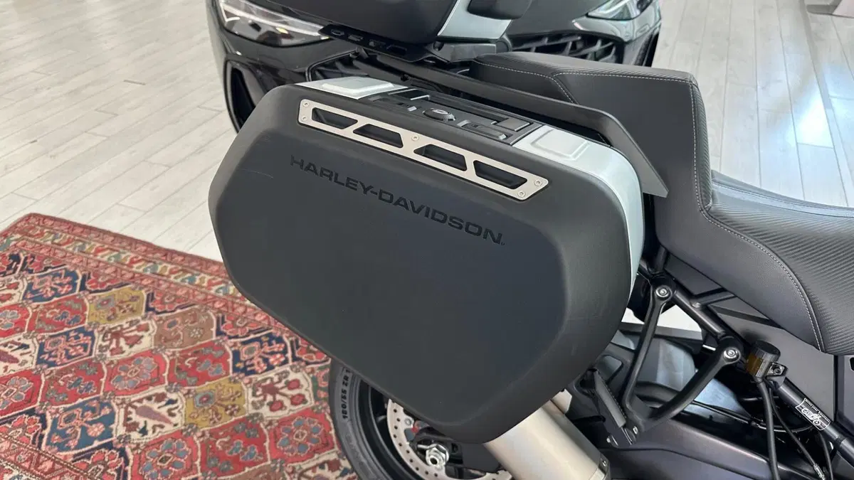 Harley-Davidson Pan America 1250 ST (2025 - 26) (7)