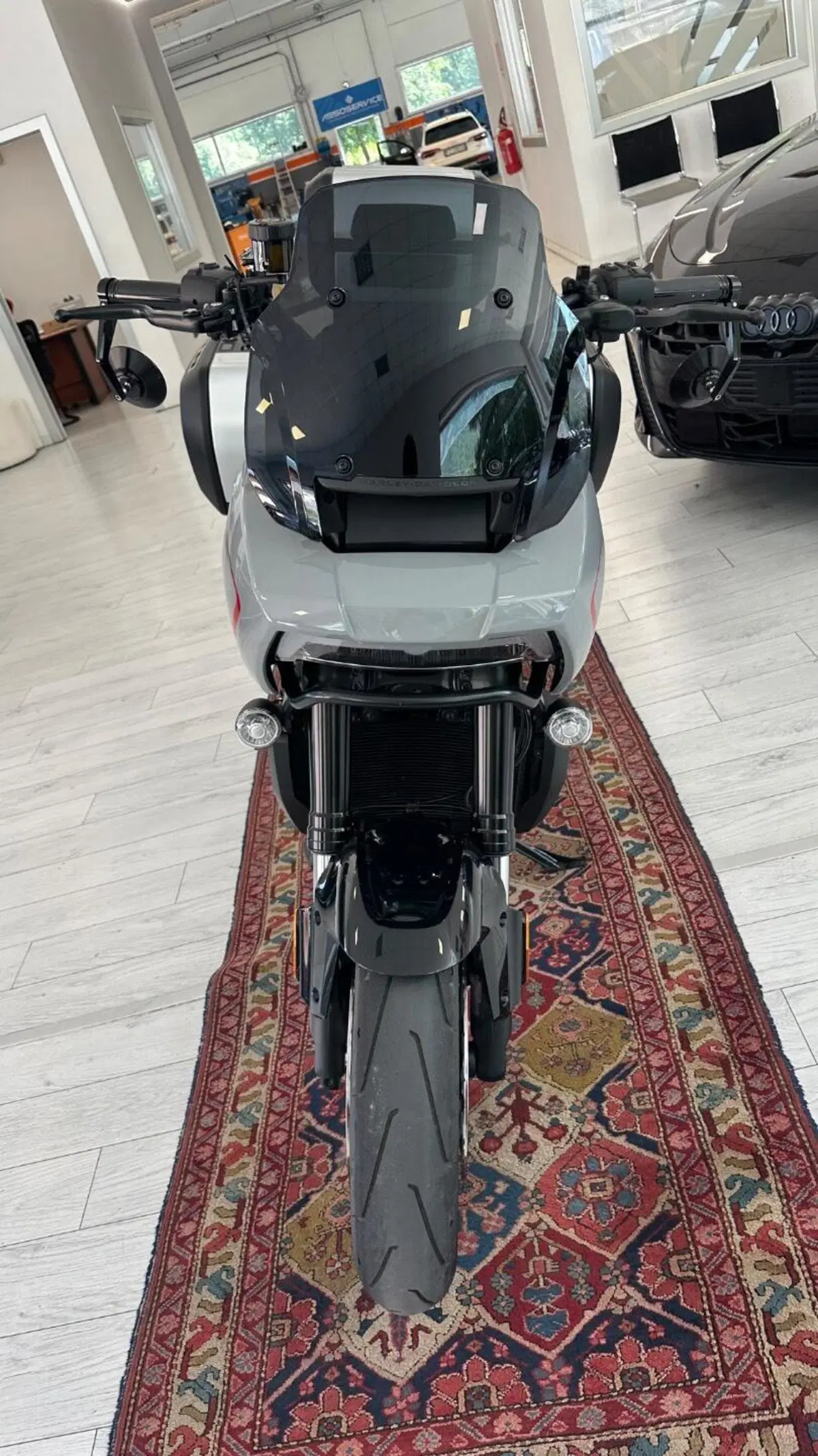 Harley-Davidson Pan America 1250 ST (2025 - 26) (16)