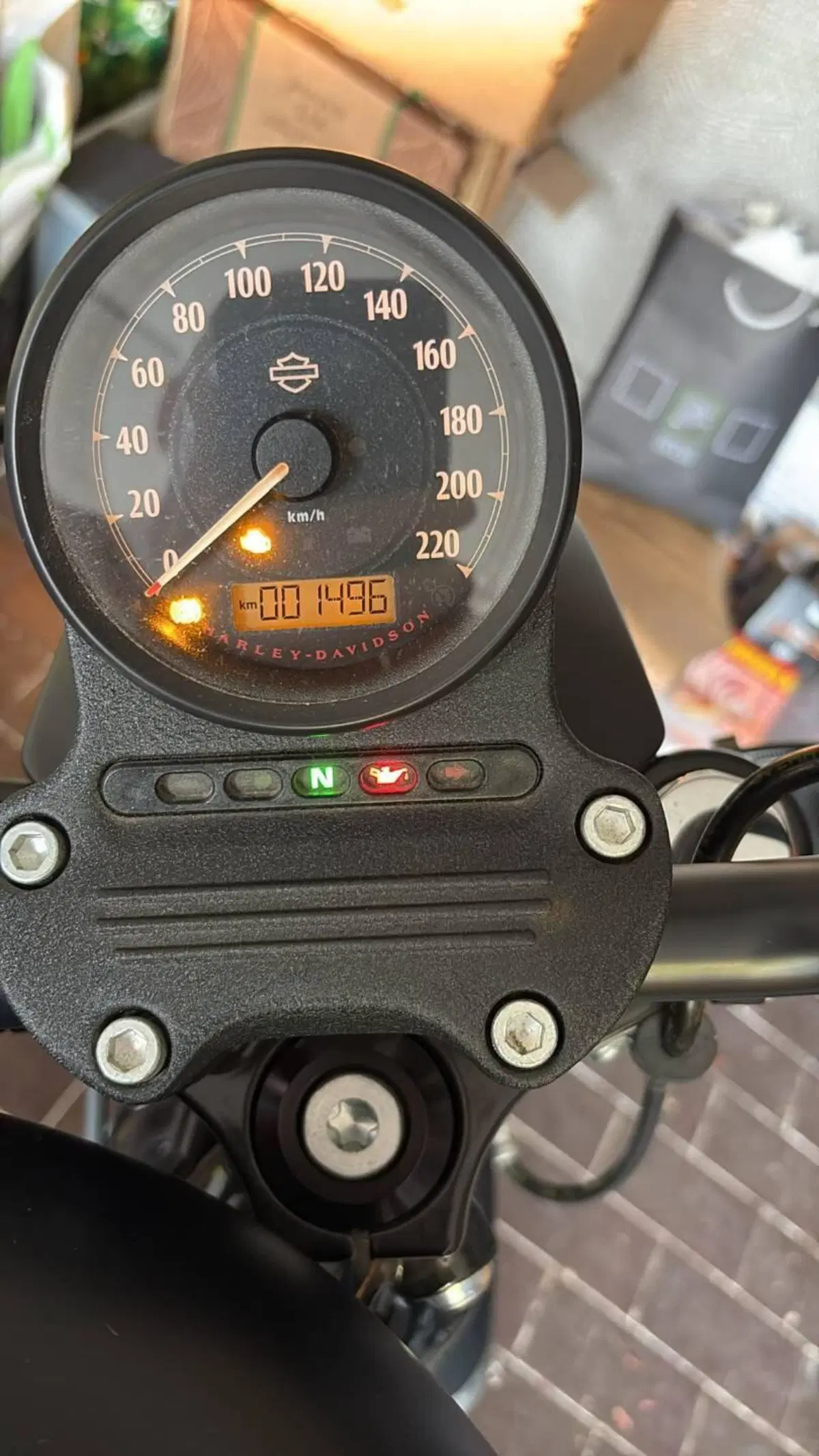 Harley-Davidson 883 Iron (2017 - 20) - XL 883N (3)