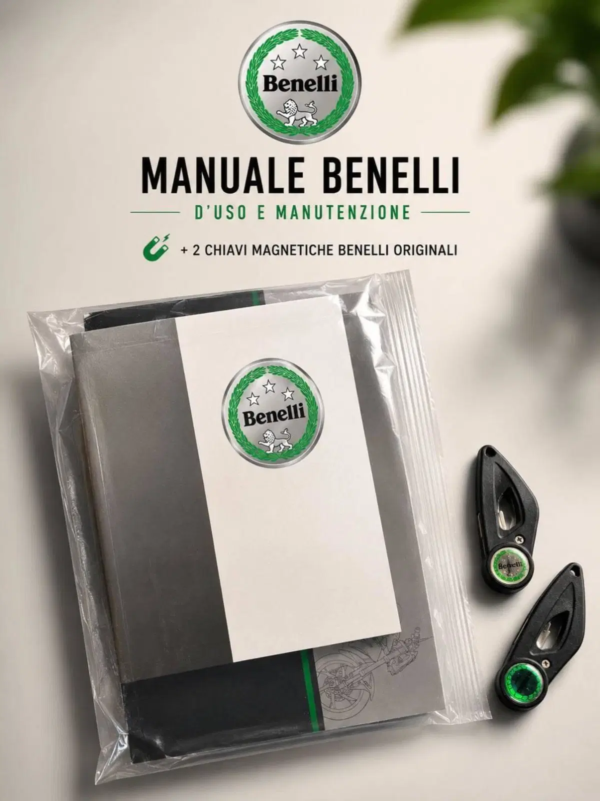Benelli BN 125 (2021 - 25) (6)