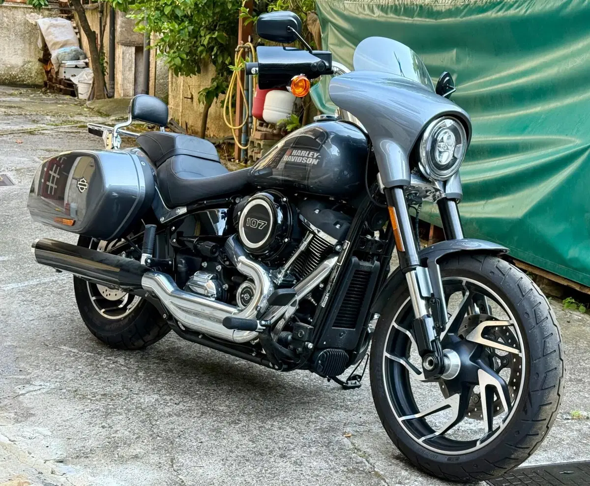Harley-Davidson Sport Glide (2021 - 25)