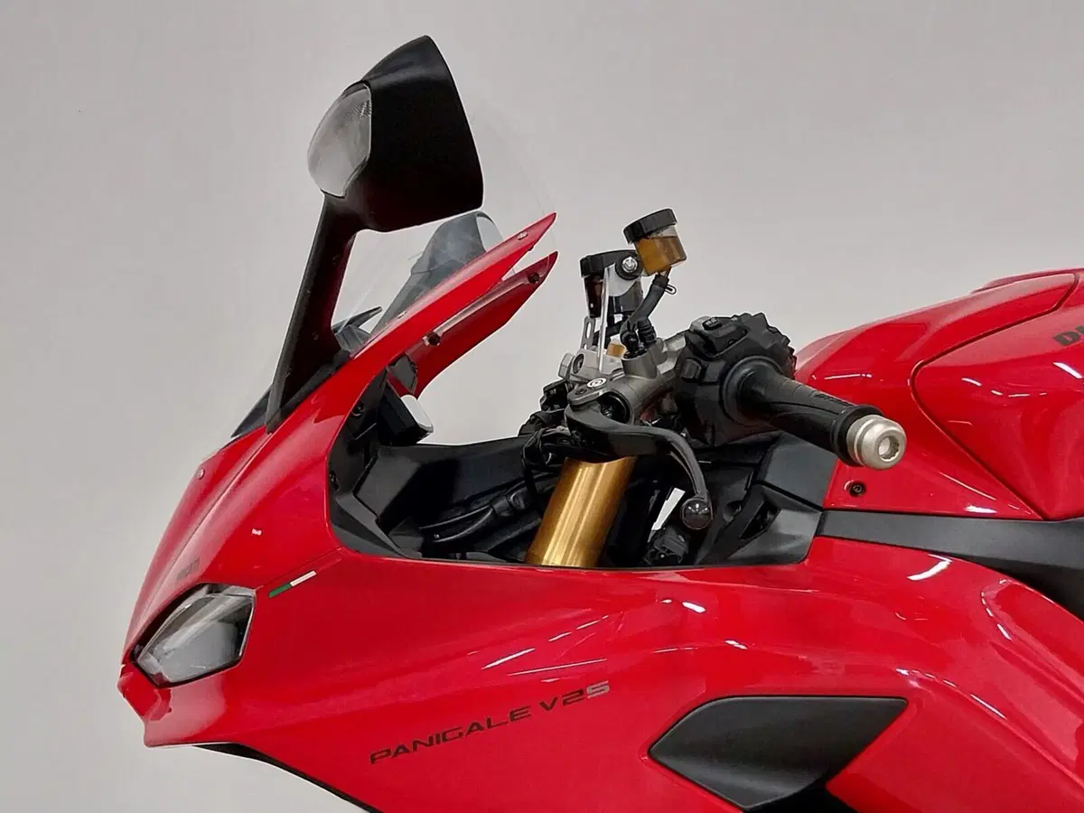 Ducati Panigale V2 S (2025 - 26) (14)