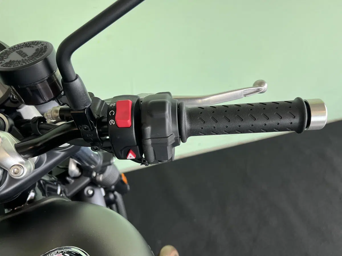 Triumph Street Twin 900 (2019 - 20) (20)