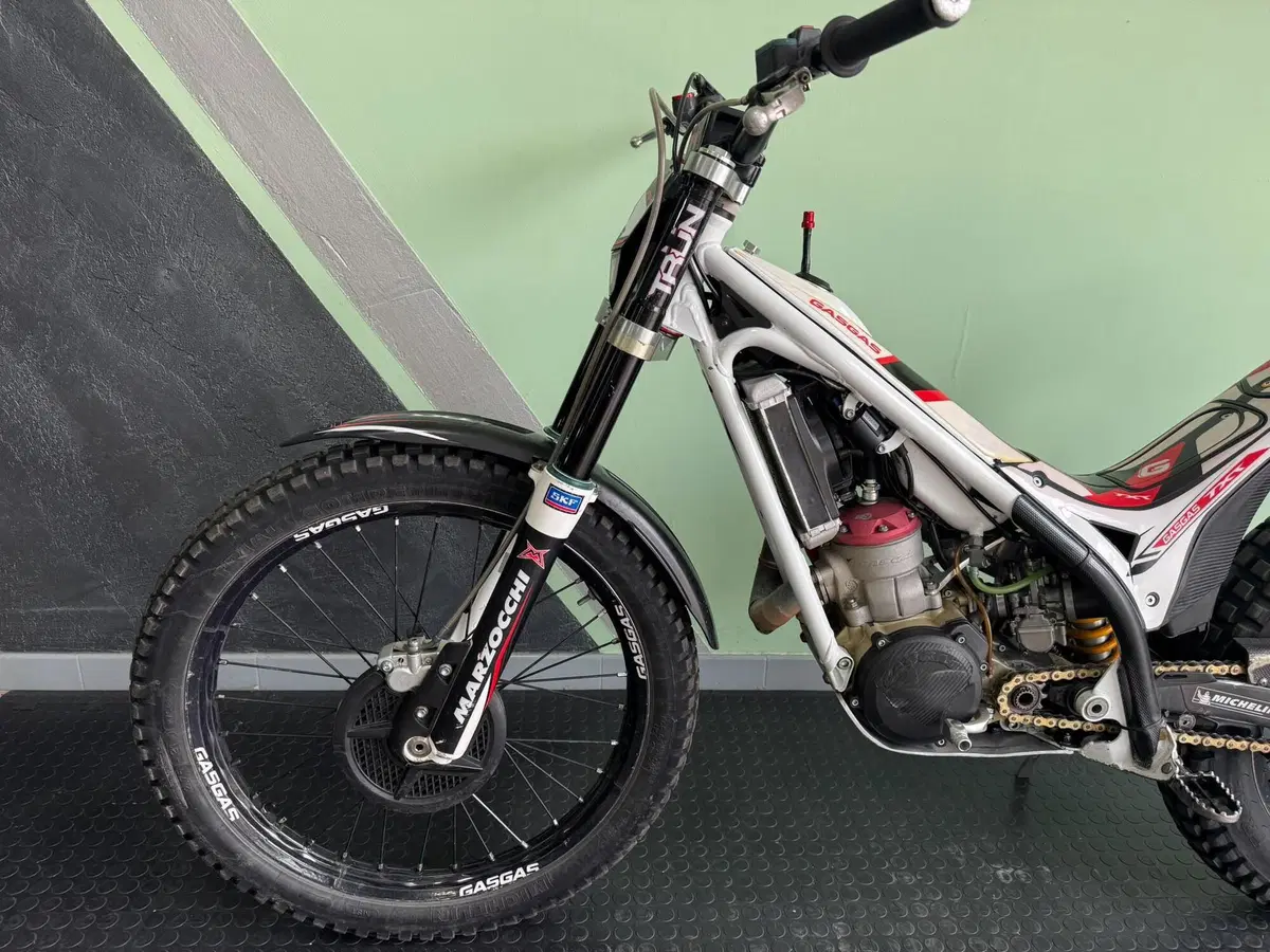 GASGAS TXT 300 H Racing (2009 - 14) (8)