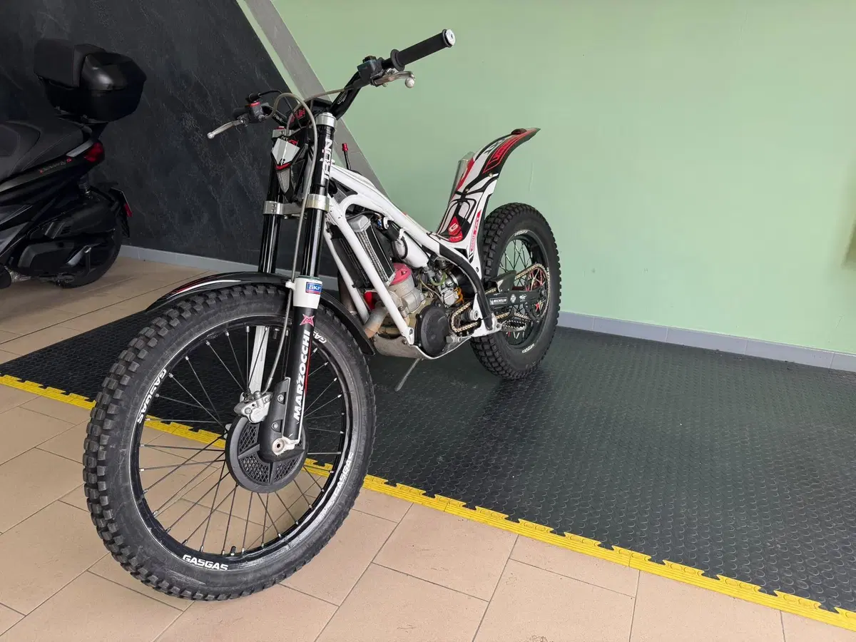 GASGAS TXT 300 H Racing (2009 - 14) (9)