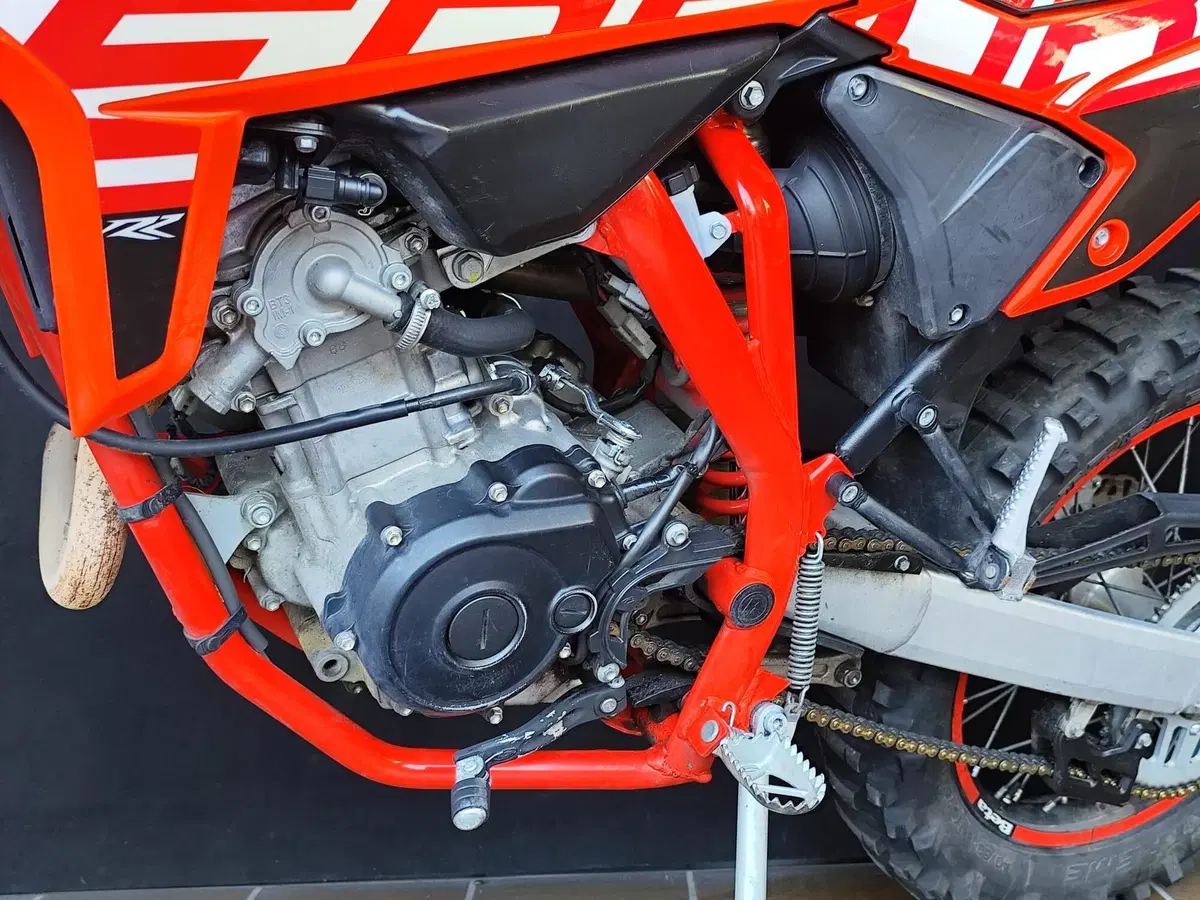 Betamotor RR 125 4T Enduro LC (2021 - 23) (19)