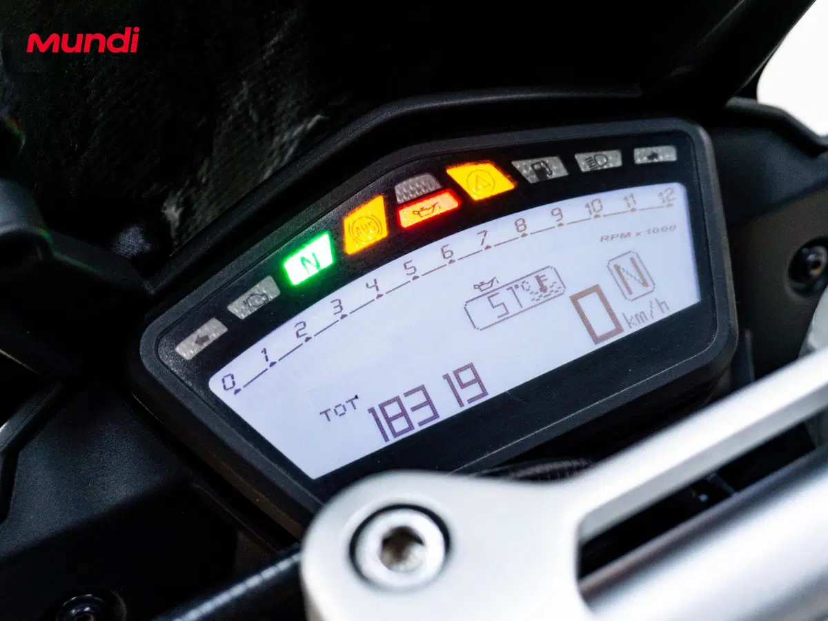 Ducati Hypermotard 939 (2016 - 18) (12)