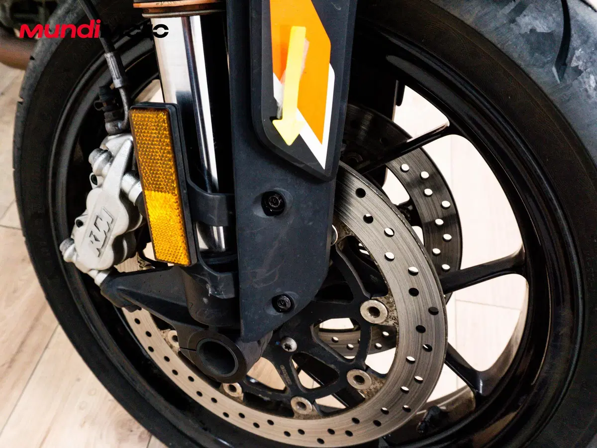 KTM 790 Duke L (2019 - 20) (15)