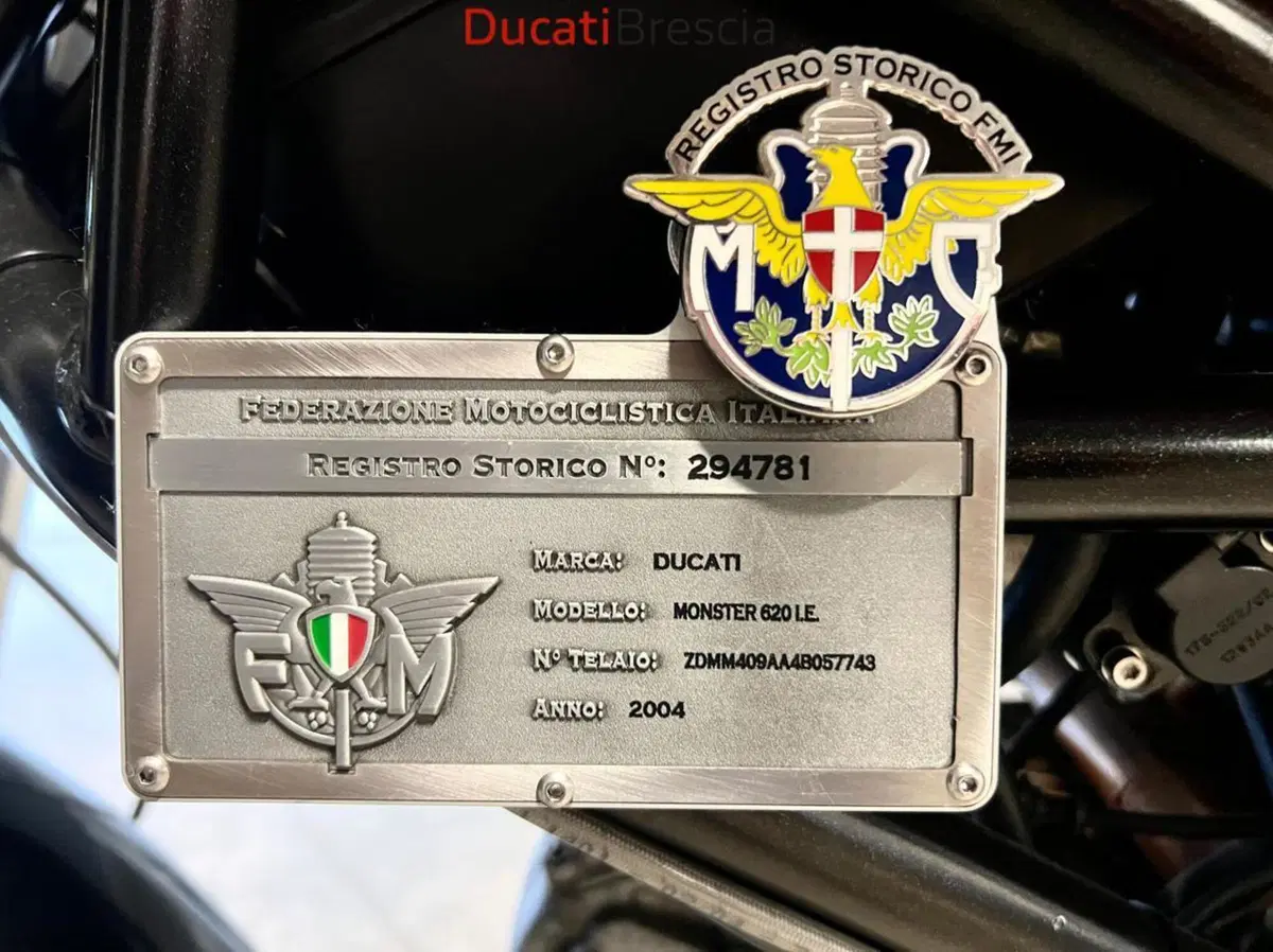 Ducati Monster 620 (2003 - 06) (8)