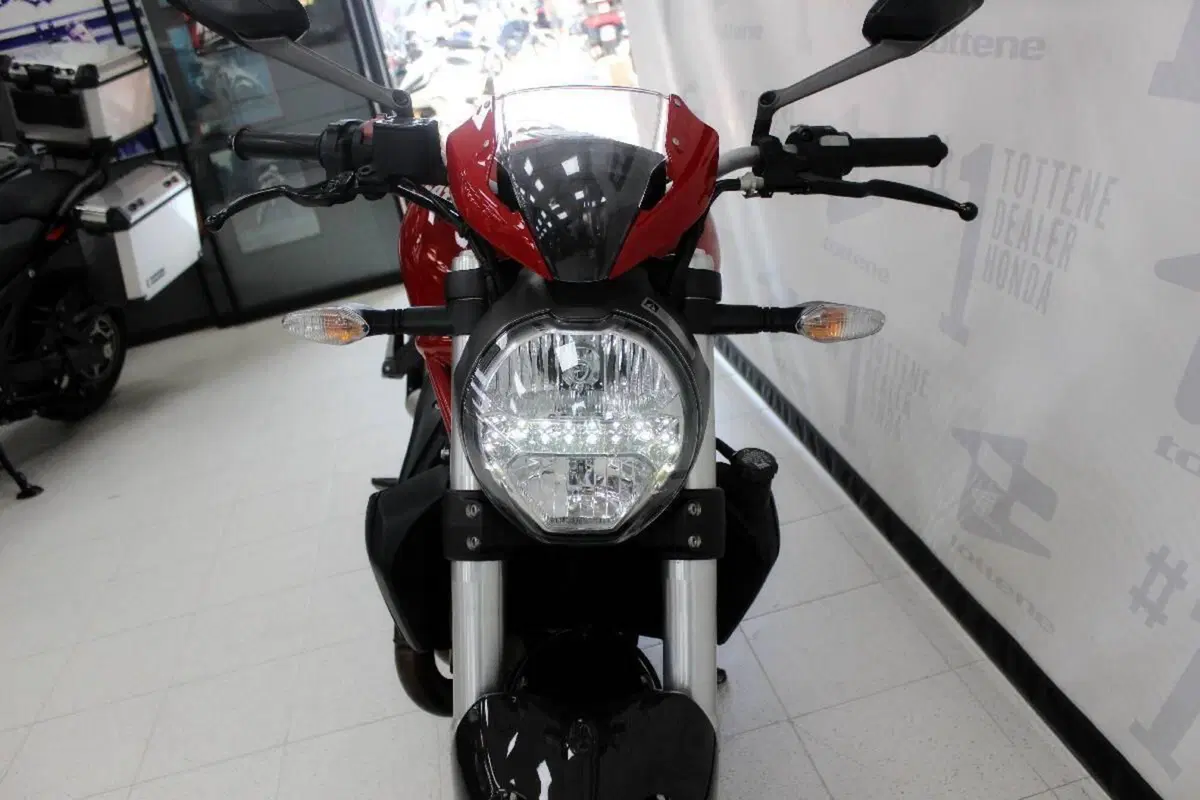 Ducati Monster 821 (2018 - 20) (4)