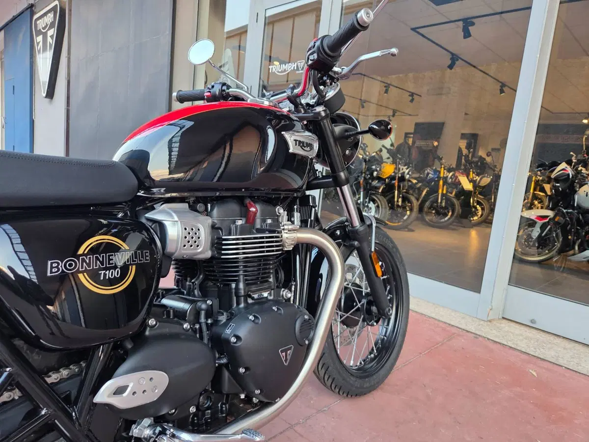 Triumph Bonneville T100 (2026) (14)