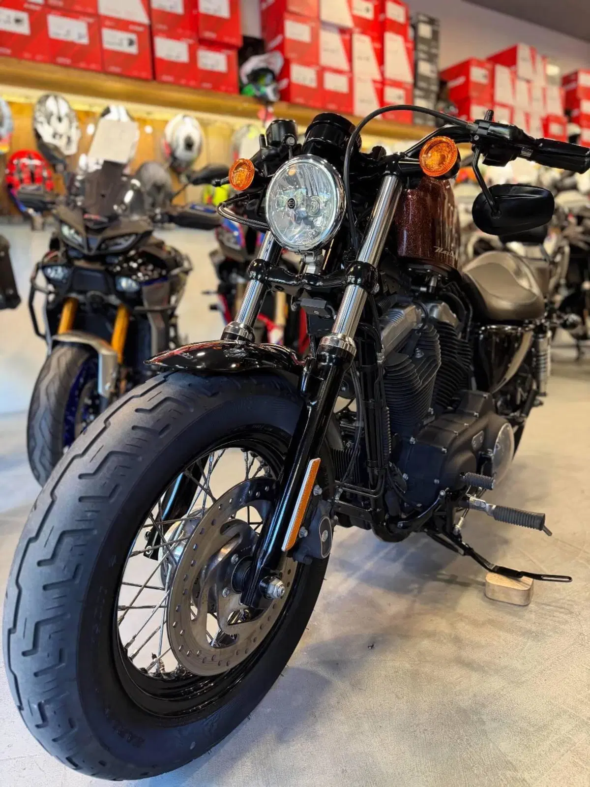 Harley-Davidson 1200 Forty-Eight (2010 - 15) (2)