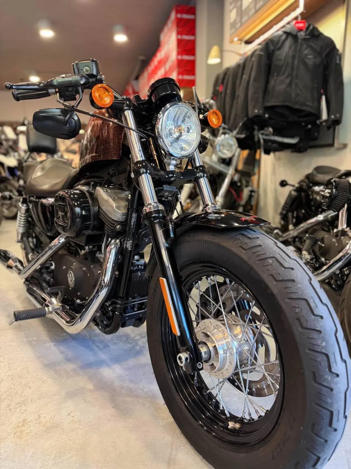 Harley-Davidson 1200 Forty-Eight (2010 - 15) (3)