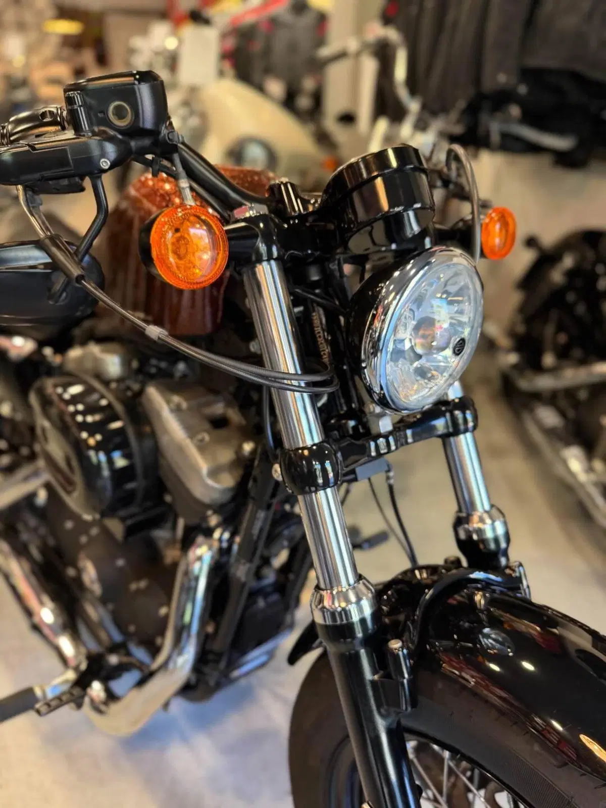 Harley-Davidson 1200 Forty-Eight (2010 - 15) (4)