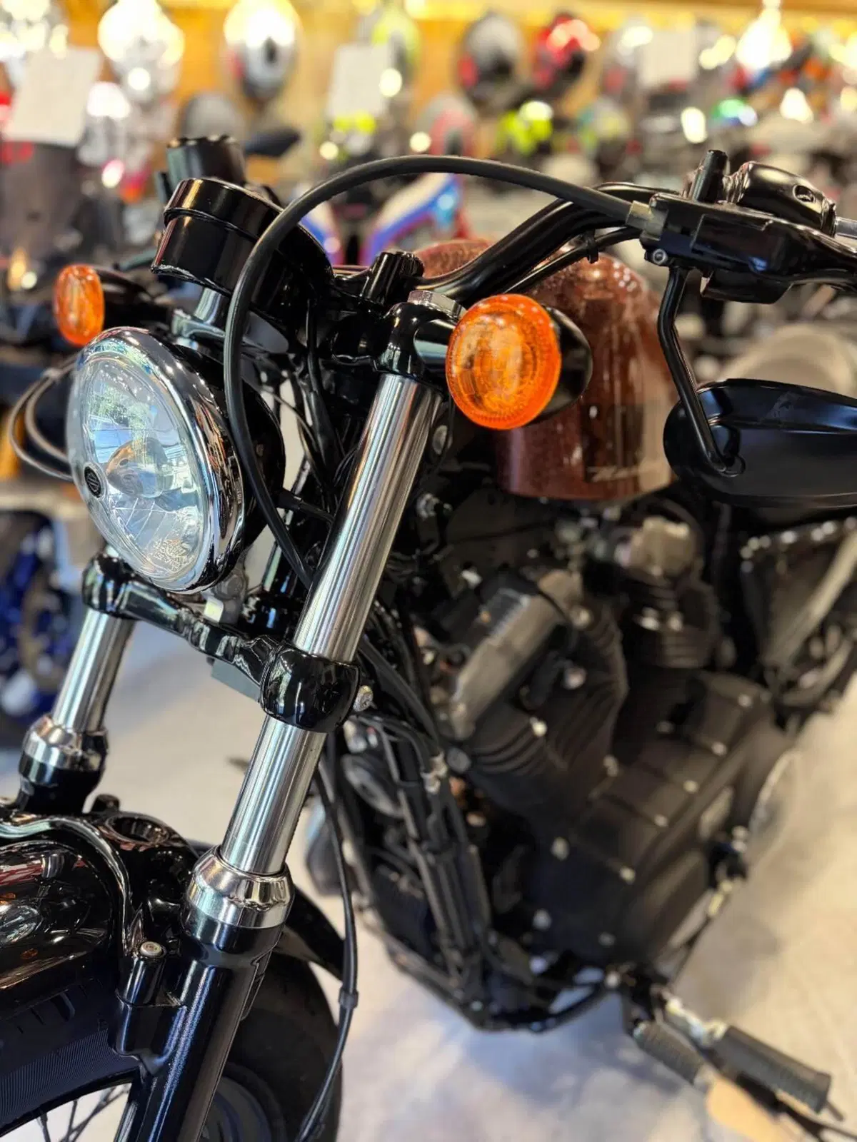 Harley-Davidson 1200 Forty-Eight (2010 - 15) (5)