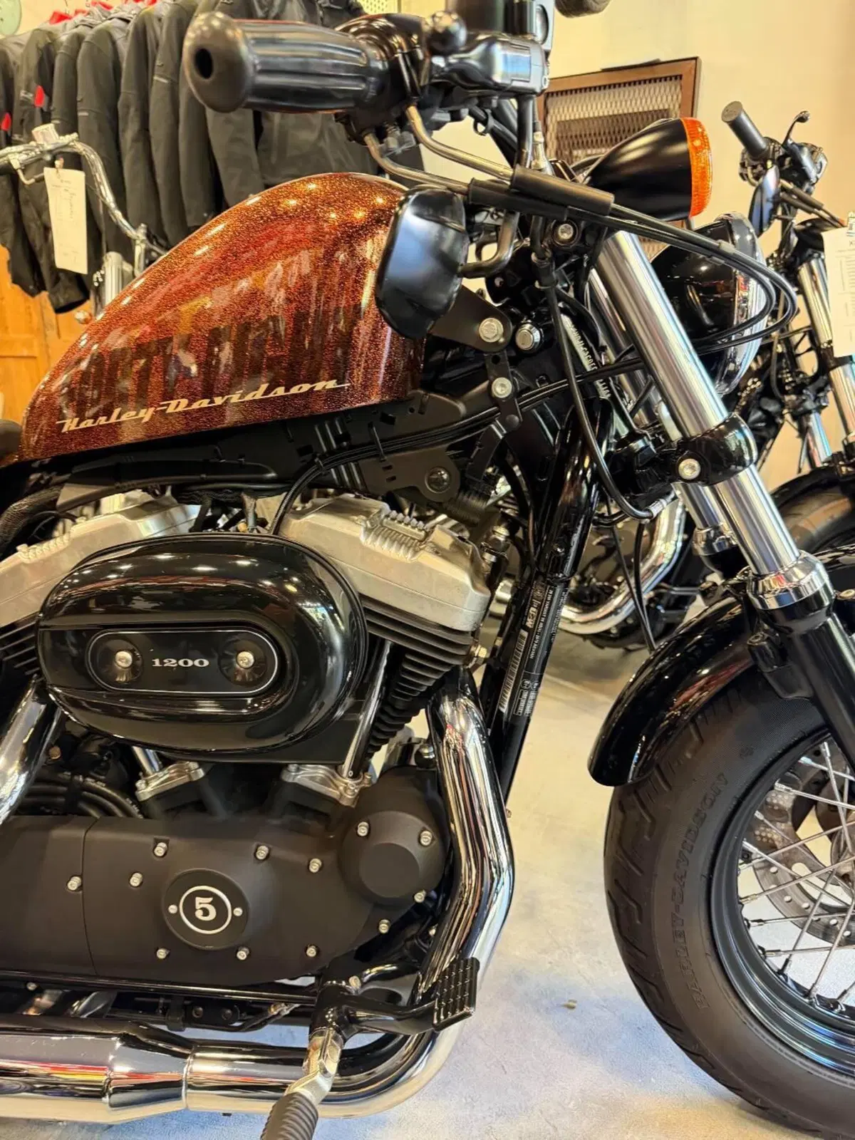 Harley-Davidson 1200 Forty-Eight (2010 - 15) (6)