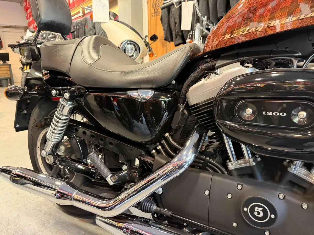 Harley-Davidson 1200 Forty-Eight (2010 - 15) (7)