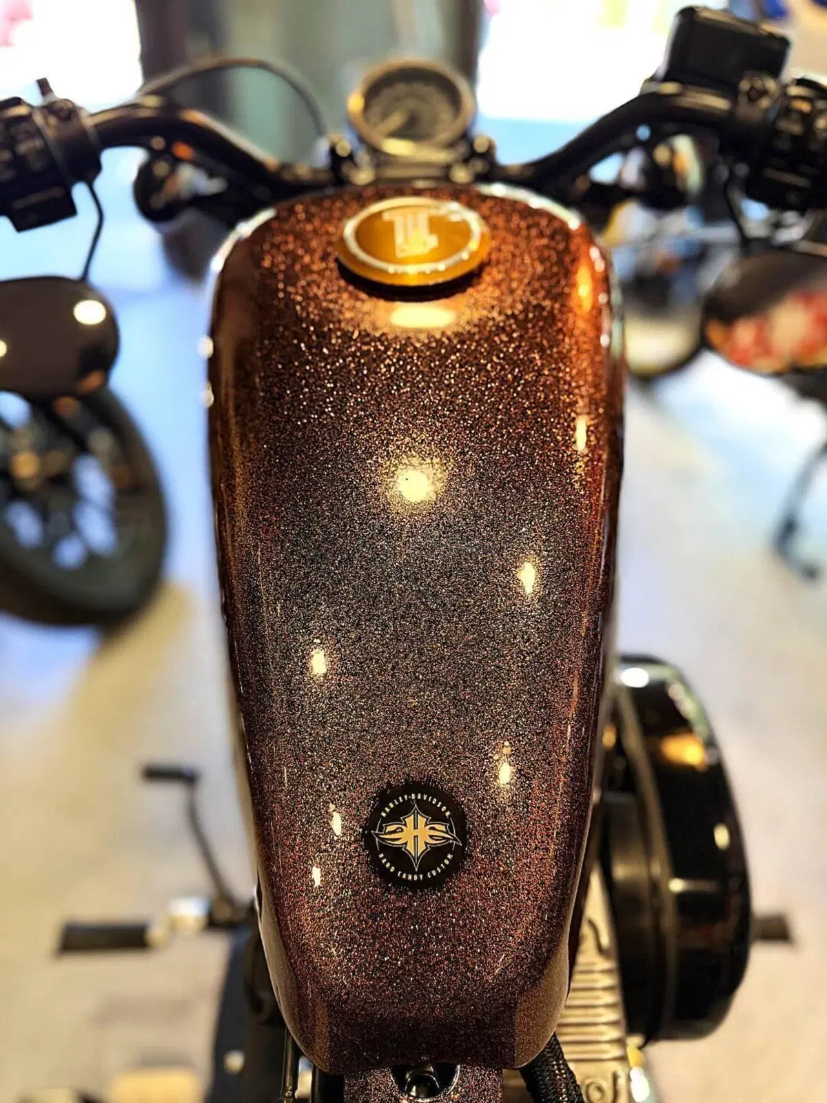 Harley-Davidson 1200 Forty-Eight (2010 - 15) (9)