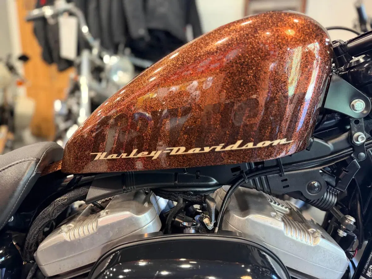 Harley-Davidson 1200 Forty-Eight (2010 - 15) (13)