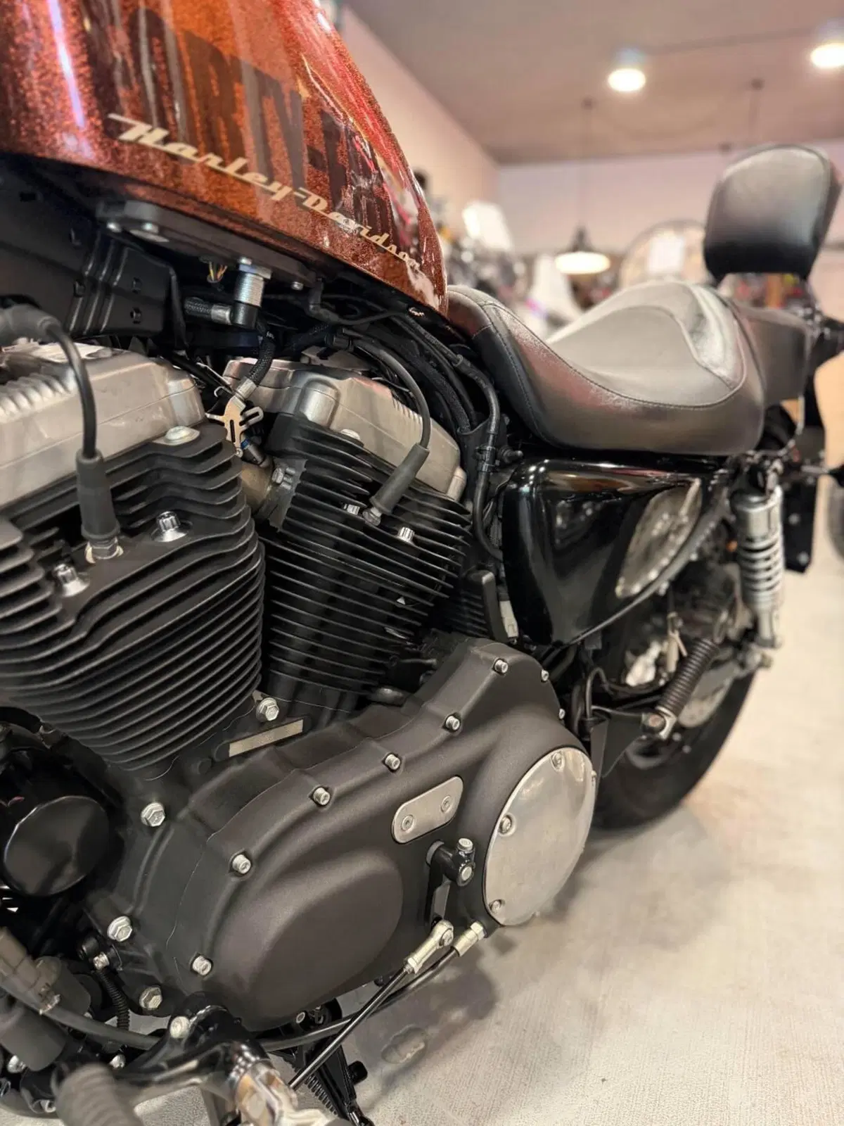 Harley-Davidson 1200 Forty-Eight (2010 - 15) (15)