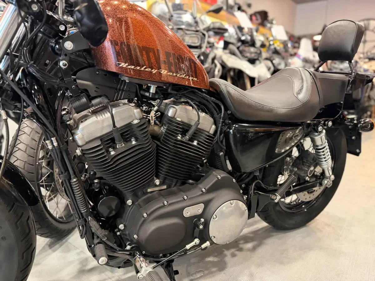 Harley-Davidson 1200 Forty-Eight (2010 - 15) (16)