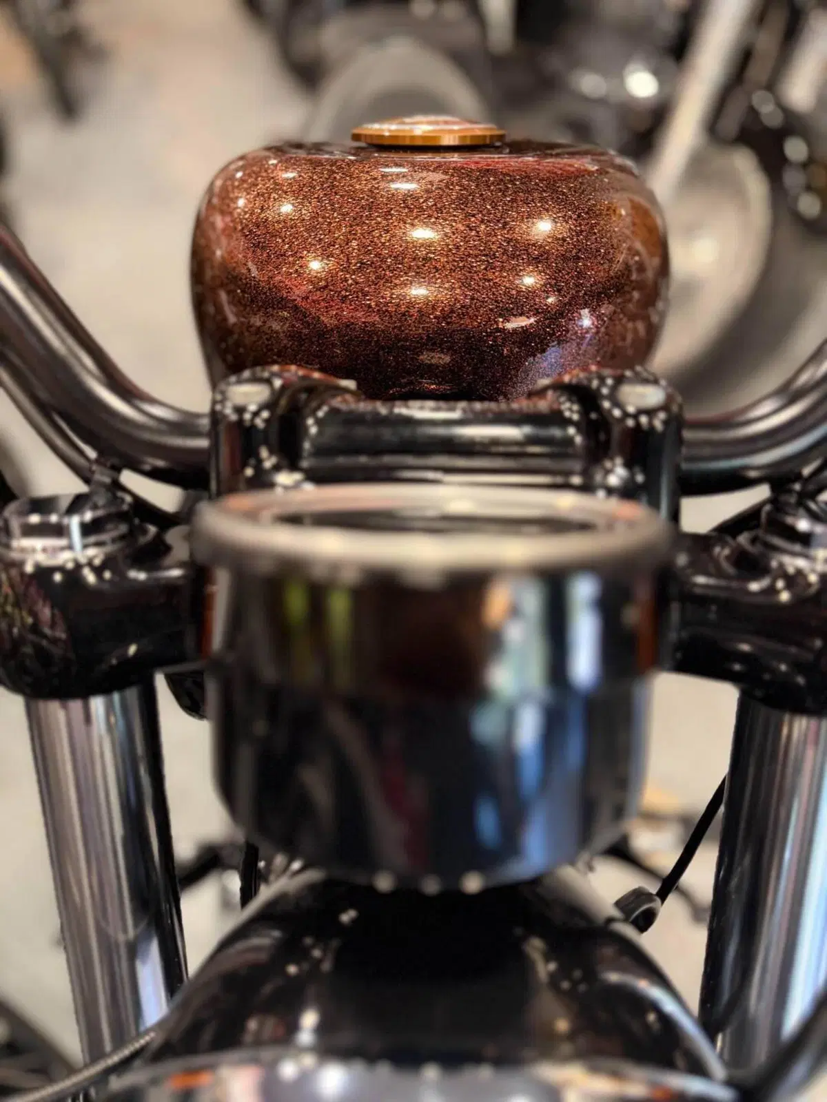 Harley-Davidson 1200 Forty-Eight (2010 - 15) (18)