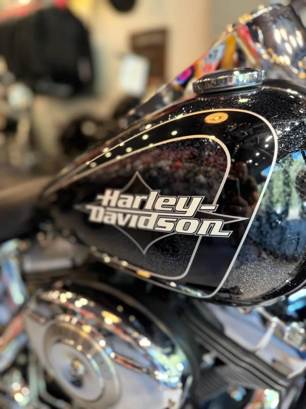 Harley-Davidson 1584 Fat Boy (2006 - 07) - FLSTF (2)