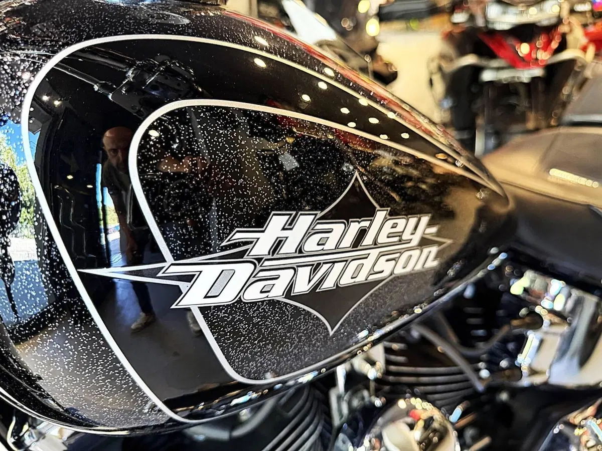 Harley-Davidson 1584 Fat Boy (2006 - 07) - FLSTF (3)