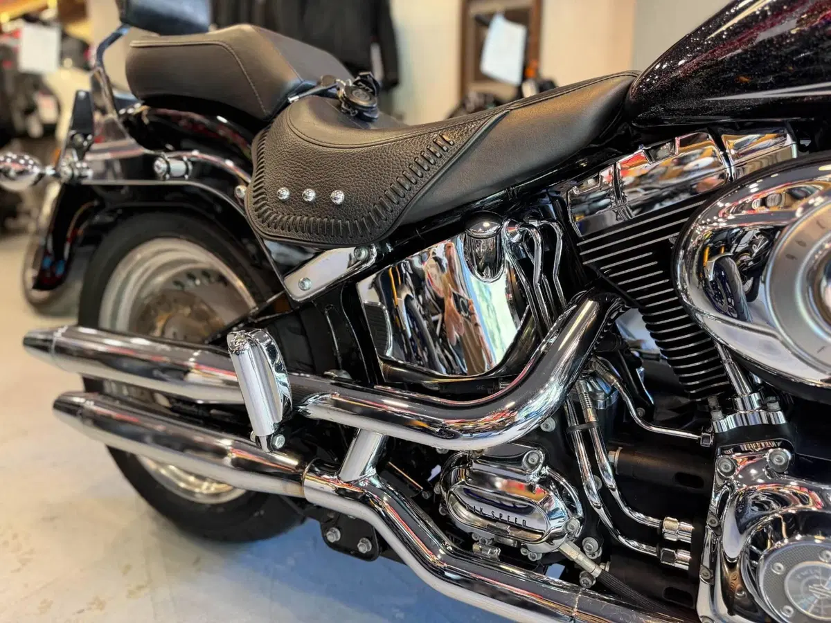 Harley-Davidson 1584 Fat Boy (2006 - 07) - FLSTF (4)
