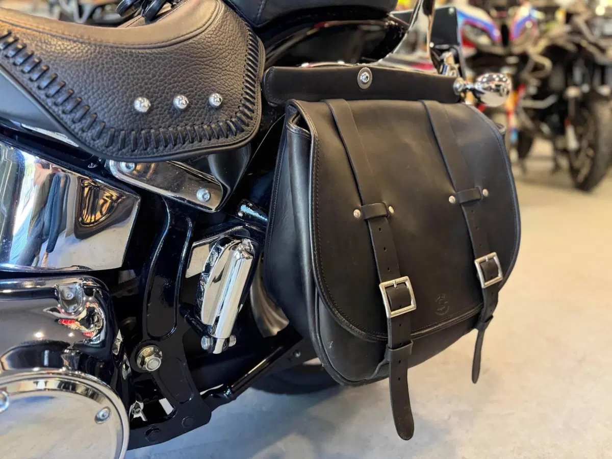 Harley-Davidson 1584 Fat Boy (2006 - 07) - FLSTF (7)