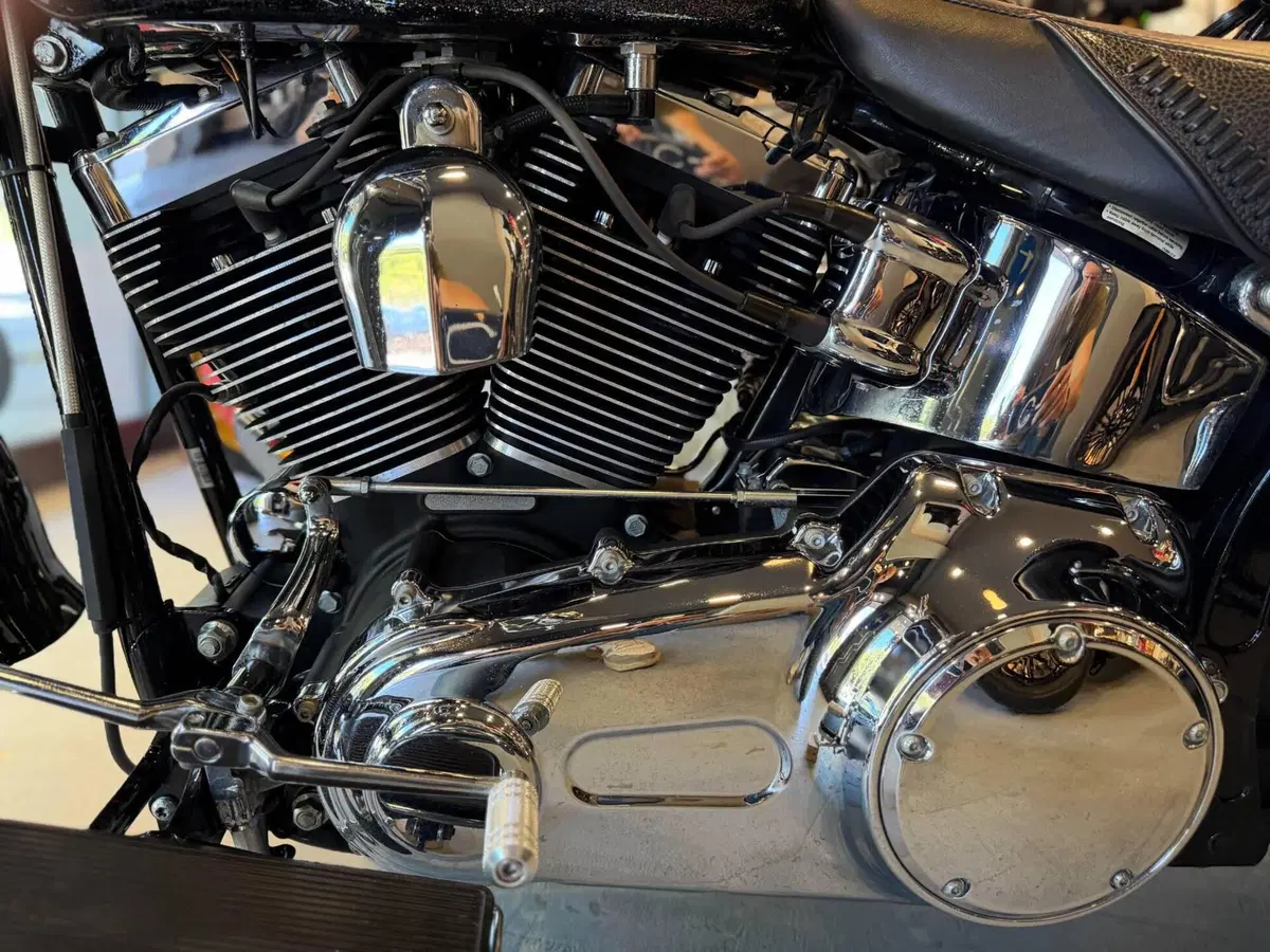 Harley-Davidson 1584 Fat Boy (2006 - 07) - FLSTF (8)