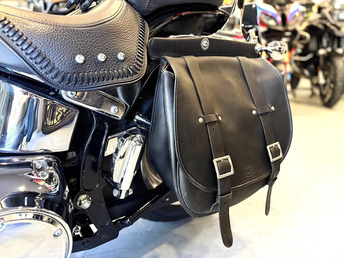 Harley-Davidson 1584 Fat Boy (2006 - 07) - FLSTF (12)