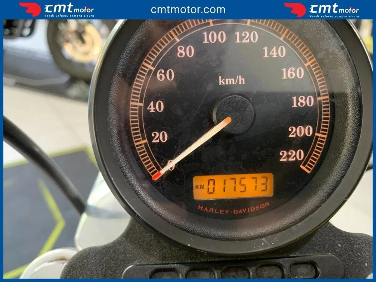 Harley-Davidson 883 (2008 - 09) - XL (5)