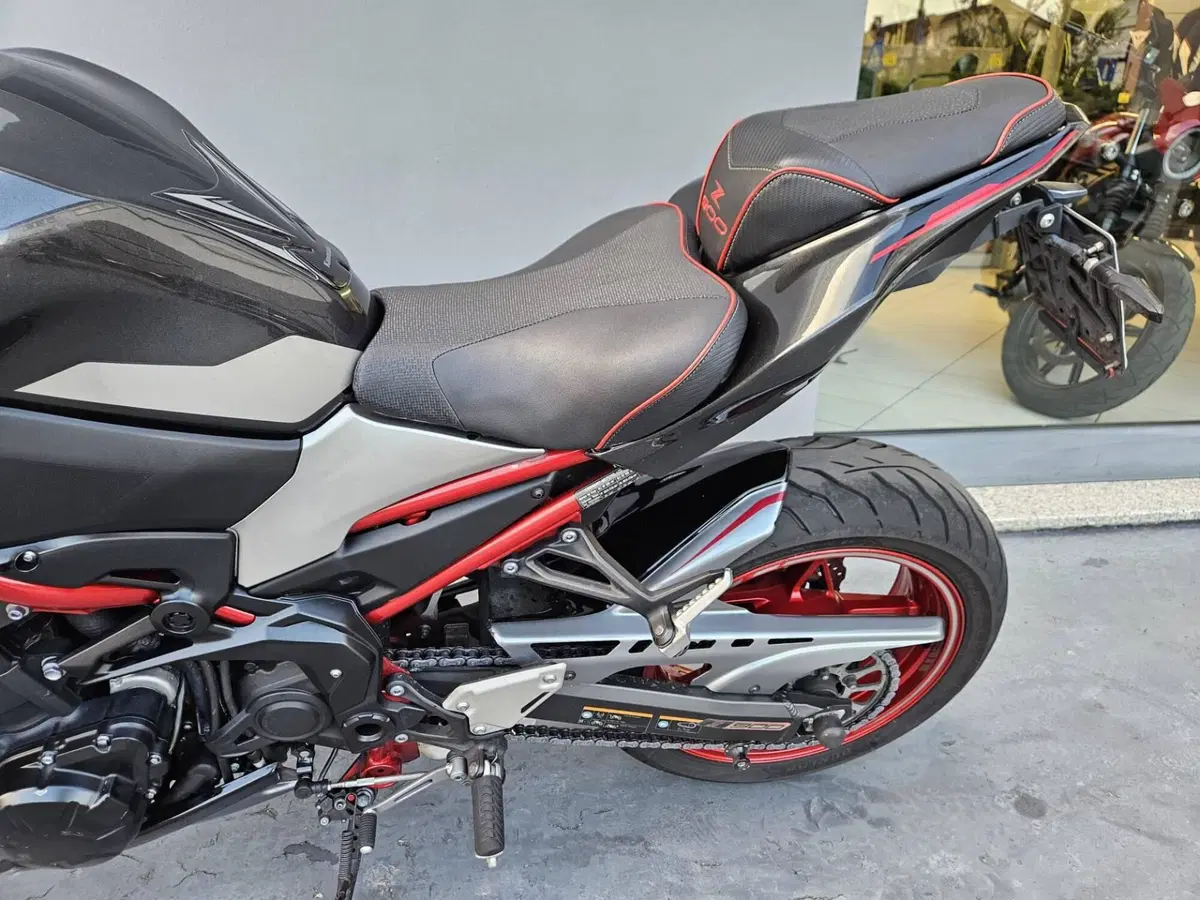 Kawasaki Z 900 (2021 - 24) (11)
