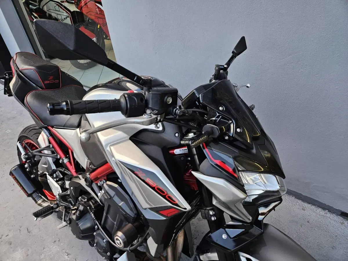 Kawasaki Z 900 (2021 - 24) (3)
